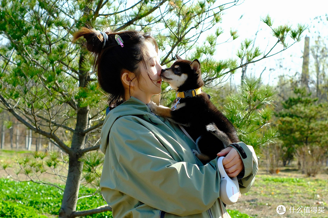 孕期养黑柴简直太快乐啦！养狗半月经验交流分享